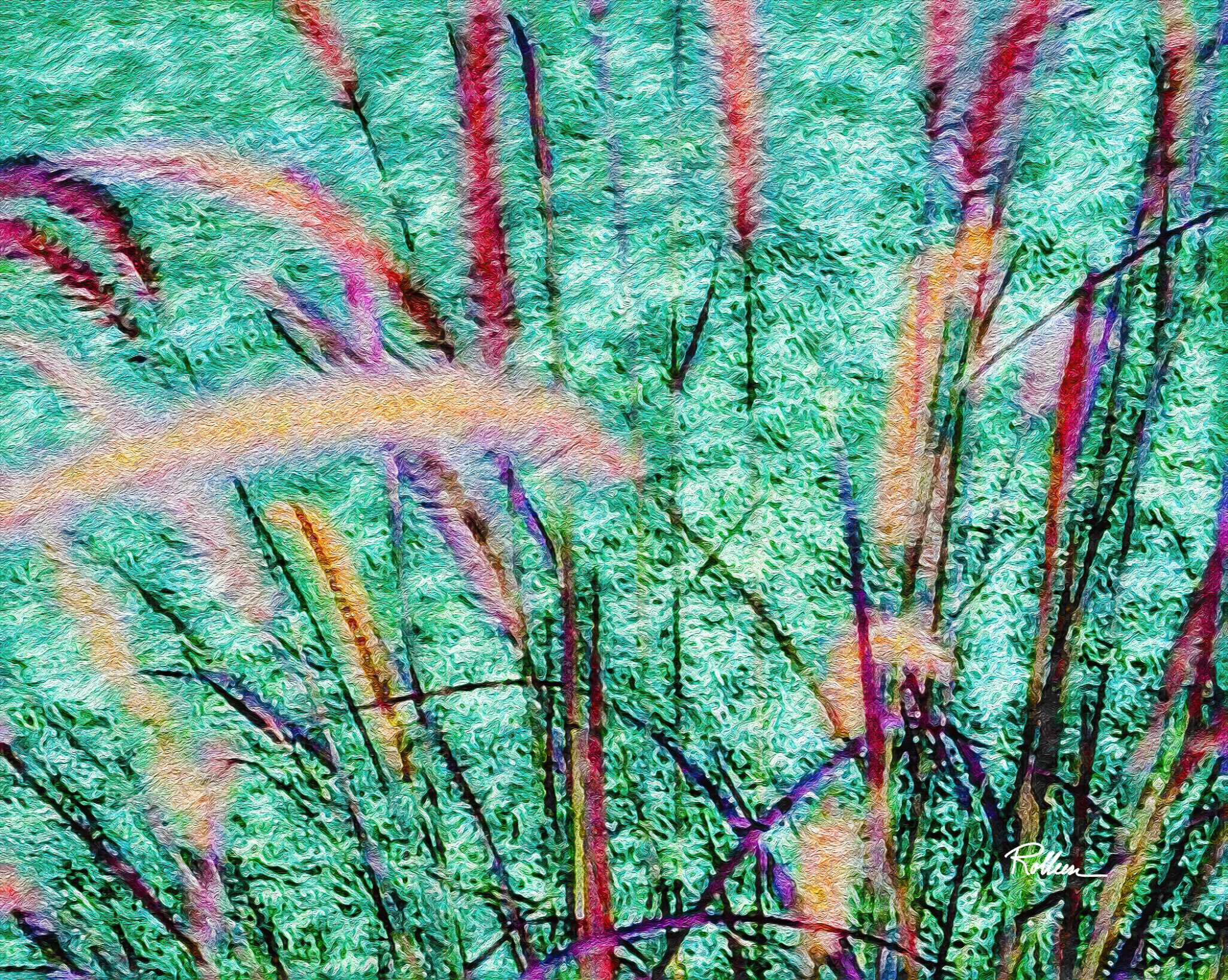 Fuzzy Garden