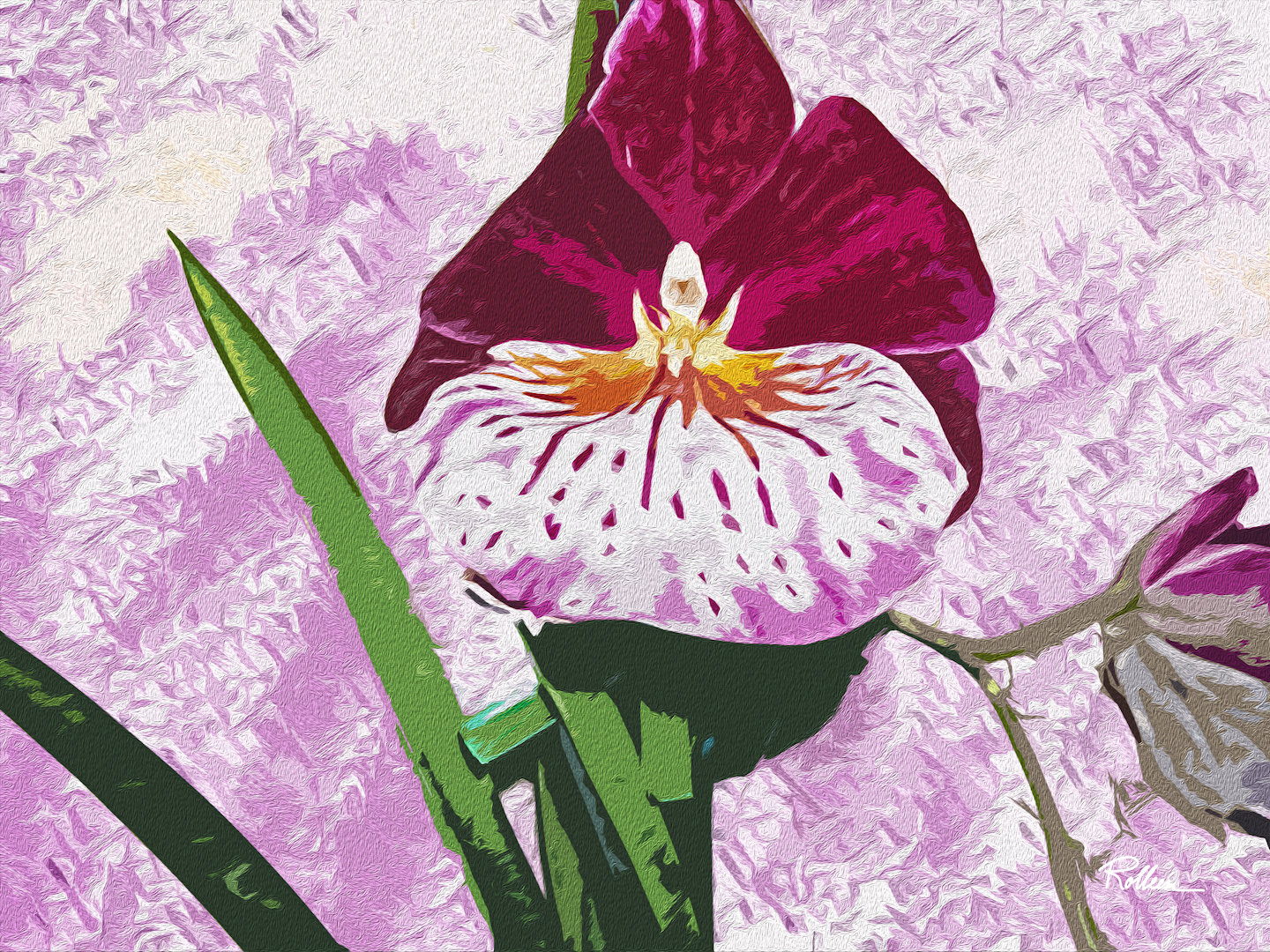 Mama’s Orchid